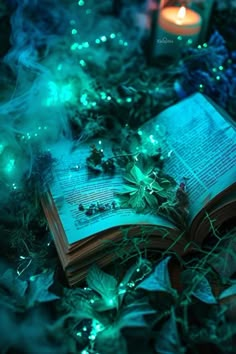 an open book sitting on top of a pile of green leaves next to a lit candle