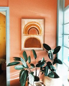 a potted plant sitting in front of a window next to a painting on the wall