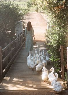 a woman walking down a bridge with many geese