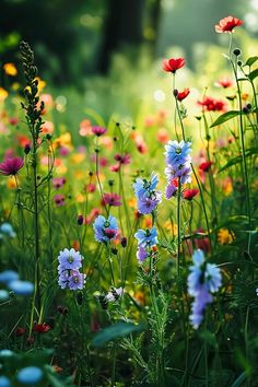 colorful flowers are growing in the grass