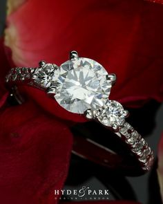 a diamond engagement ring sitting on top of a red rose