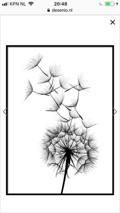 a black and white photo of a dandelion with the words design in it