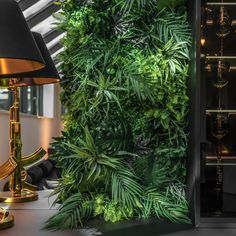 a green wall in an office next to a lamp