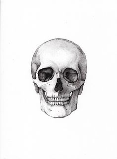 a black and white drawing of a human skull