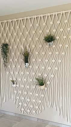 some plants are hanging on the wall