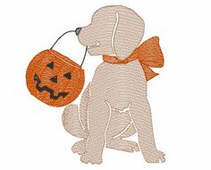 a dog with a pumpkin in its mouth and a trick bag hanging from it's neck