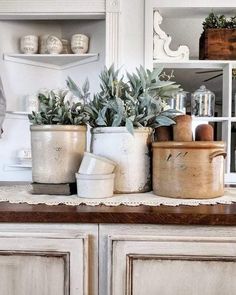 some pots are sitting on top of a counter in front of a shelf filled with plants