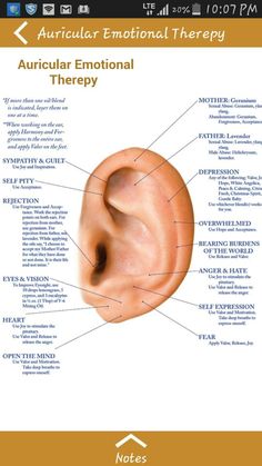 Ear Seed Placement, Lose Thigh Fat, Essential Oil Blends Recipes, Healthy Morning Routine