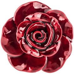 a red rose is shown on a white background