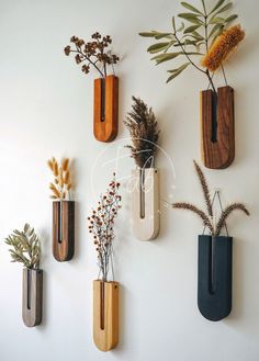 several vases with plants in them hanging on the wall next to each other,