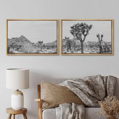 two black and white pictures hanging on the wall next to a couch in a living room