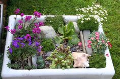 a garden filled with lots of different types of flowers and plants in a white container