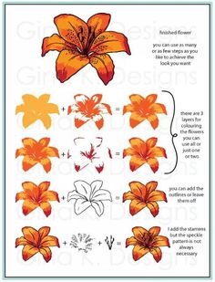 an orange flower is shown with instructions to make it look like the flowers are blooming