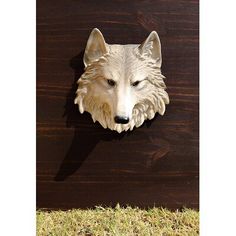 a white wolf head mounted on the side of a wooden door with grass around it