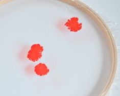 three red circles on a white plate