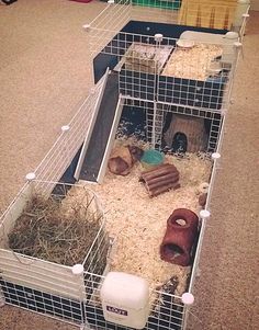 a caged in area with various animals and hay on the floor next to each other