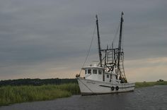 a large white boat floating on top of a river next to tall grass and trees