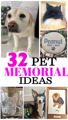 there are pictures of dogs and cats with the words 32 pet memorial ideas