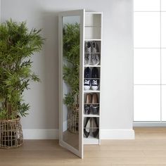 there is a tall white cabinet with shoes on it and a potted plant in the corner