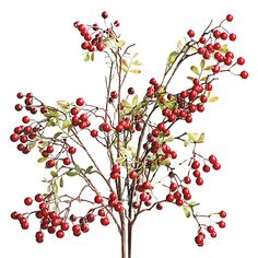 PRICES MAY VARY. Holiday decorations: The charming berry branches will add a touch of charm to your holidays, weddings, parties and Christmas. The charming berry branches can also be used to decorate bridal showers, wedding flower arrangements, Christmas trees or craft projects. Bendable branches: These berry branches can be bent arbitrarily, you can bend it into a natural shape, or you can make it imitate the shape of a real berry branch. The arbitrarily curved stems make this berry branch more Filled Vases, Berry Plants, Christmas Floral Arrangements, Olive Leaf, Vase Centerpieces, Wedding Christmas, Christmas Floral, Arte Floral, Faux Plants