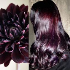 Pelo Color Vino, Dark Purple Hair, Wine Hair, Black Dahlia, Glam Hair, Burgundy Hair, Hair Color And Cut, Hair Dye Colors, Red Hair Color