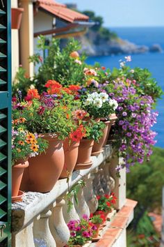 A vibrant display of potted flowers on a narrow balcony overlooking a serene blue sea, exemplifying stunning small balcony garden ideas. Vertical Planting, Balcony Gardens, Small Backyard Design Ideas, Backyard Design Ideas, Balcony Flowers, Flower Pots Outdoor, Plants Decor