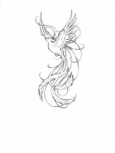 a drawing of a bird flying in the air with its wings spread out and it's tail curled back