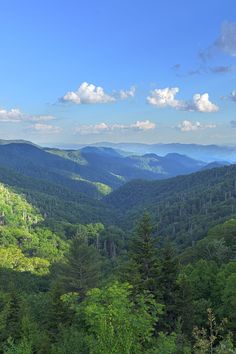 the mountains are covered in green trees and blue sky with white clouds above them,