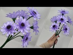 three pictures of purple flowers being held up by someone's hand with the same flower