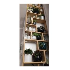 several wooden shelves filled with plants and vases