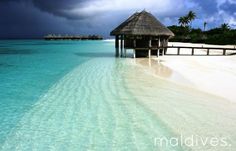 the water is crystal clear and blue in this tropical beach scene with a hut on stilts