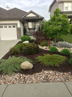 a front yard with rocks and plants in the foreground, two garages behind it