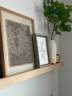 there are two framed pictures and a plant on top of the mantle in this living room