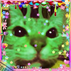 an image of a green cat with stars on it's face in the frame