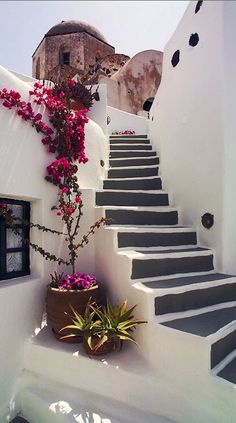 the stairs are painted white and have flowers growing out of them on each one side