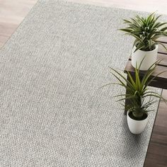 two potted plants sit on top of a wooden bench next to a white rug