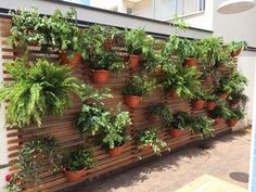 a wooden fence with potted plants on it