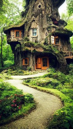 a tree house in the middle of a forest with moss growing on it's roof