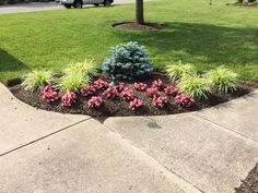 a flower bed in the middle of a sidewalk next to a tree and grass area