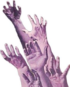 several hands reaching up into the air to reach something