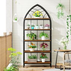 a room filled with lots of potted plants on top of shelves next to a table