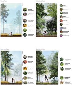 four different views of trees and people walking in the woods, with text below them