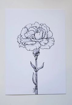 a black and white drawing of a flower