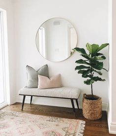 a living room with a plant and mirror on the wall