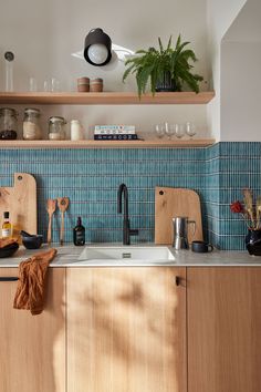 a kitchen with wooden cabinets and blue tile backsplash, potted plant on the counter