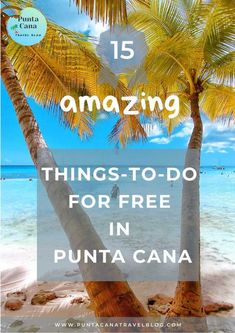 two palm trees with the text 15 amazing things to do for free in puna cana