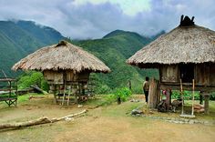 two huts with thatched roofs in front of mountains