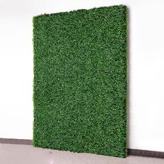 a wall covered in green grass next to a white wall