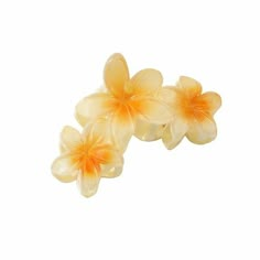 Flower Hair Clips, Flower Claw Clips, Strong Hold Claw Clips for Thick Hair Summer Cute Hibiscus Hair Clips Beach Plumeria Hair Accessories for Women Features: 1. Versatile Hair Accessories: Our 3pcs set of hair claws is for creating various stylish hairstyles. Whether you want to create an elegant updo or a casual half-up hairstyle, these large-sized hair claws will securely hold your hair in place. 2. Trendy European and Design: Inspired by the latest hair accessory trends in Europe and Americ Preppy Hair Clips, Hawaiian Flower Claw Clip, Unique Claw Clips, Summer Claw Clip, Hair Plates, Dr Belongings, Flower Claw Clips, Hibiscus Hair, Claw Clips For Thick Hair