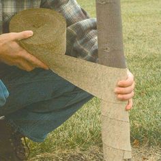 a man sitting on the ground next to a tree holding a piece of cloth over it